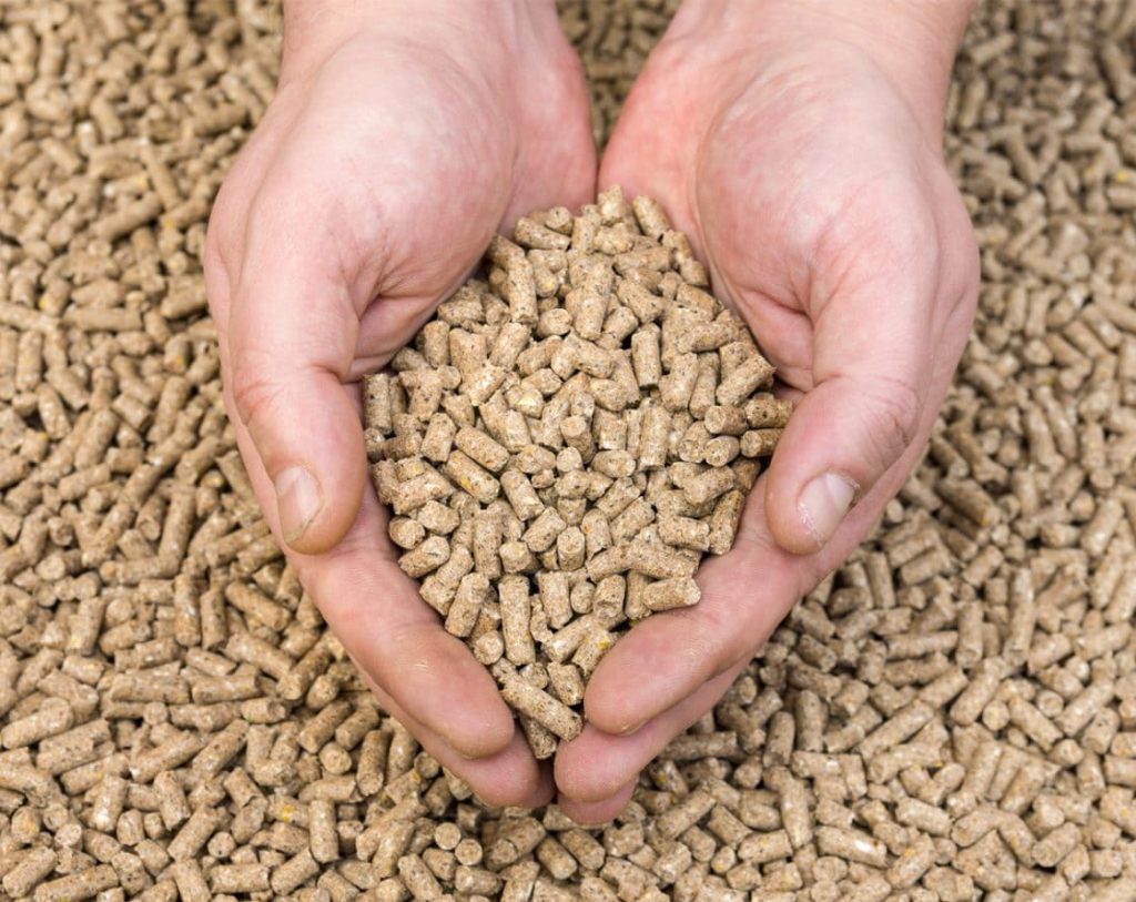 A person holding a handful of light brown cylindrical animal feed pellets over a large pile of the same nutritional grain.