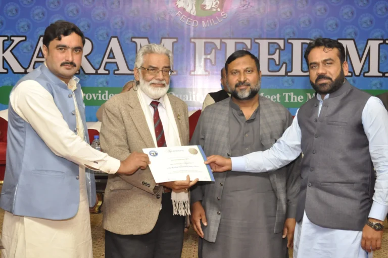 Where does it come from?