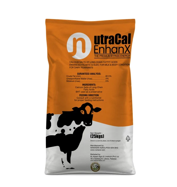 Mockup UltraCal EnhanX