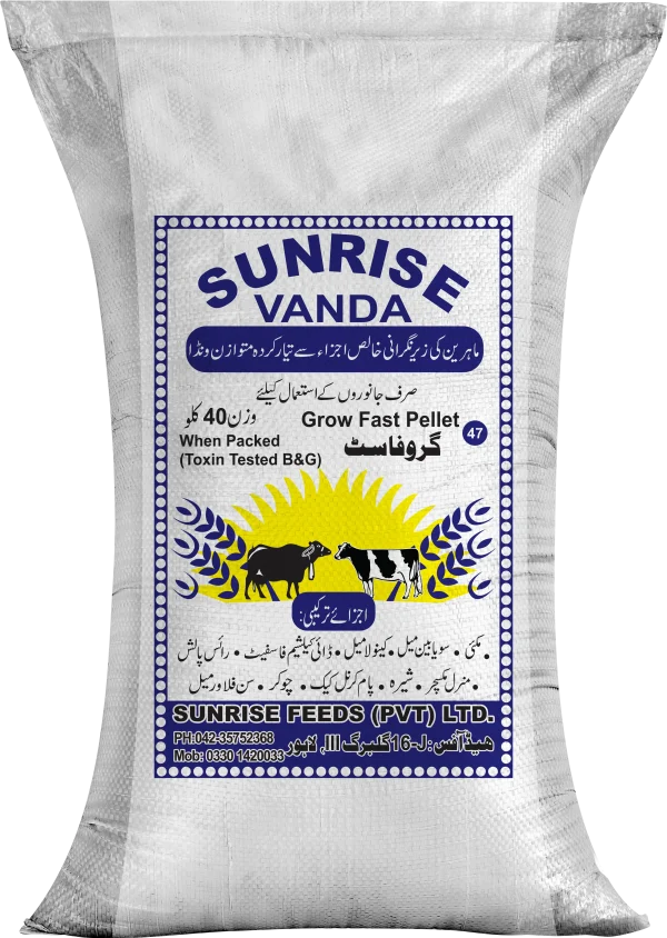 Sunrise Milk Flow 47